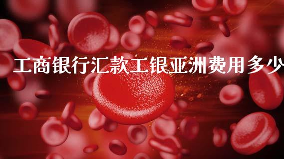 工商银行汇款工银亚洲费用多少_https://www.zcsm.com.cn_期货喊单_第1张