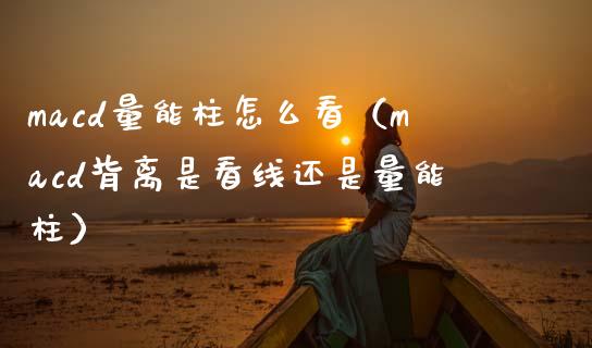 macd量能柱怎么看（macd背离是看线还是量能柱）_https://www.zcsm.com.cn_期货培训_第1张
