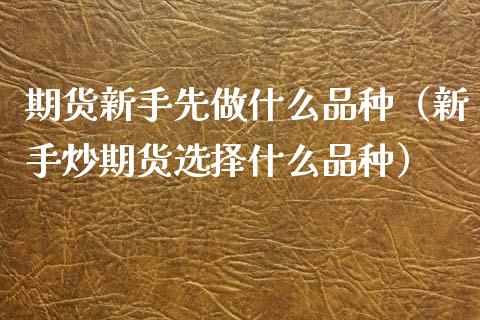 期货新手先做什么品种（新手炒期货选择什么品种）_https://www.zcsm.com.cn_期货喊单_第1张