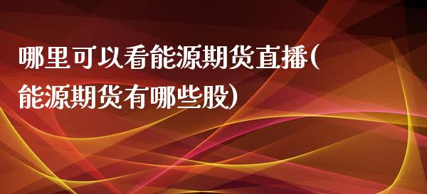 哪里可以看能源期货直播(能源期货有哪些股)_https://www.zcsm.com.cn_期货百科_第1张