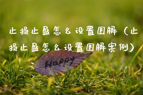 止损止盈怎么设置图解（止损止盈怎么设置图解案例）_https://www.zcsm.com.cn_期货交易_第1张