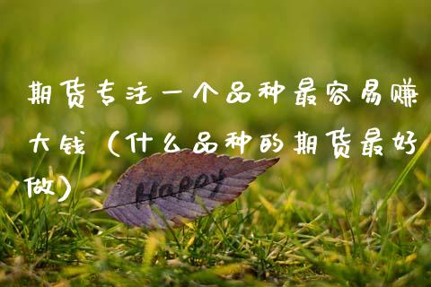 期货专注一个品种最容易赚大钱（什么品种的期货最好做）_https://www.zcsm.com.cn_期货喊单_第1张