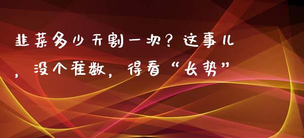 韭菜多少天割一次？这事儿，没个准数，得看“长势”_https://www.zcsm.com.cn_期货交易_第1张