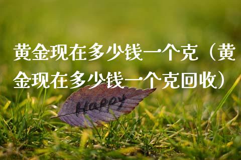 黄金现在多少钱一个克（黄金现在多少钱一个克回收）_https://www.zcsm.com.cn_期货行情_第1张