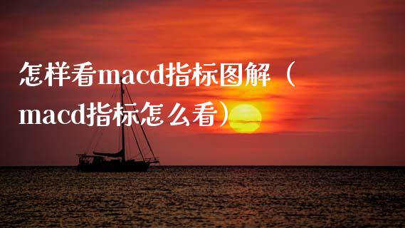 怎样看macd指标图解（macd指标怎么看）_https://www.zcsm.com.cn_期货培训_第1张
