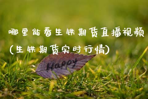 哪里能看生铁期货直播视频(生铁期货实时行情)_https://www.zcsm.com.cn_期货喊单_第1张