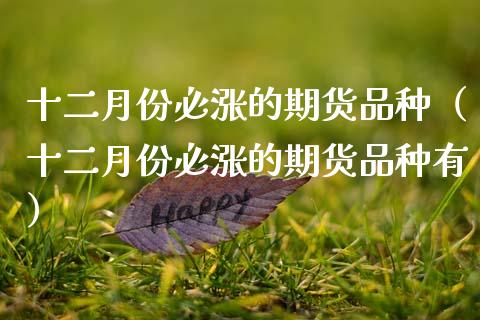十二月份必涨的期货品种（十二月份必涨的期货品种有）_https://www.zcsm.com.cn_期货喊单_第1张