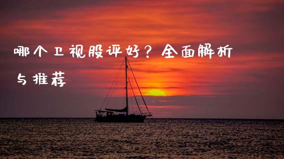 哪个卫视股评好？全面解析与推荐_https://www.zcsm.com.cn_期货行情_第1张
