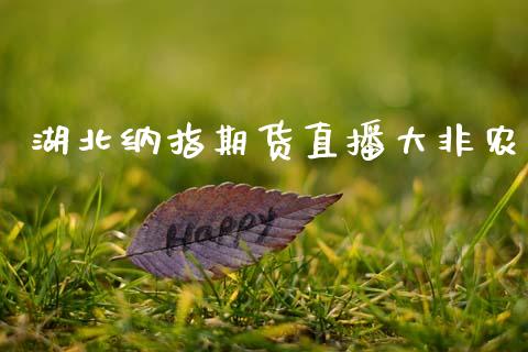 湖北纳指期货直播大非农_https://www.zcsm.com.cn_期货百科_第1张