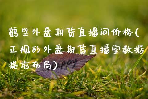 鹤壁外盘期货直播间价格(正规的外盘期货直播室数据提前布局)_https://www.zcsm.com.cn_期货百科_第1张
