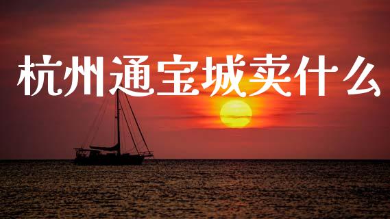 杭州通宝城卖什么_https://www.zcsm.com.cn_期货培训_第1张