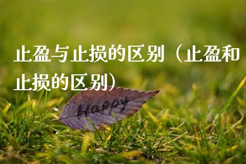 止盈与止损的区别（止盈和止损的区别）_https://www.zcsm.com.cn_期货交易_第1张
