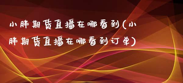 小胖期货直播在哪看到(小胖期货直播在哪看到订单)_https://www.zcsm.com.cn_期货喊单_第1张
