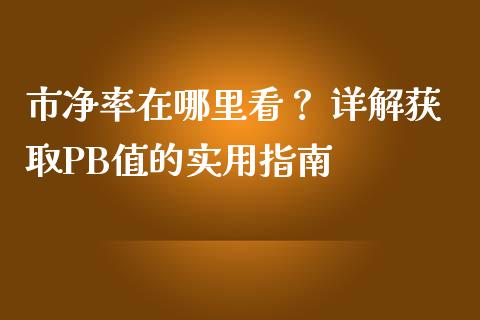 市净率在哪里看？ 详解获取PB值的实用指南_https://www.zcsm.com.cn_期货行情_第1张