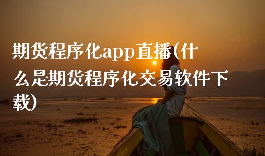 期货程序化app直播(什么是期货程序化交易软件下载)_https://www.zcsm.com.cn_期货行情_第1张