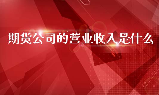 期货公司的营业收入是什么_https://www.zcsm.com.cn_期货培训_第1张