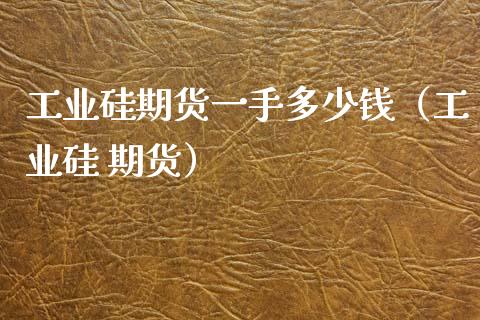 工业硅期货一手多少钱（工业硅 期货）_https://www.zcsm.com.cn_期货行情_第1张
