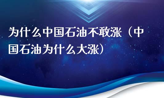 为什么中国石油不敢涨（中国石油为什么大涨）_https://www.zcsm.com.cn_期货培训_第1张