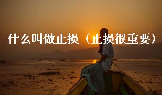 什么叫做止损（止损很重要）_https://www.zcsm.com.cn_期货交易_第1张