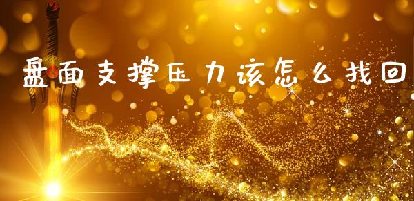 盘面支撑压力该怎么找回_https://www.zcsm.com.cn_期货培训_第1张