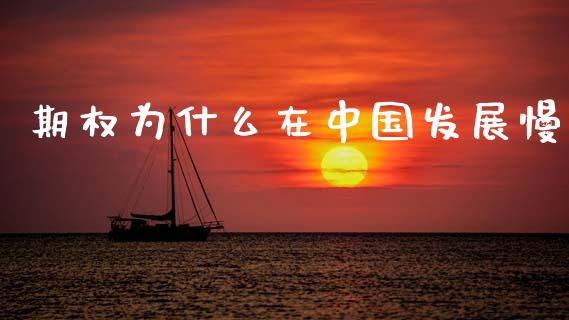 期权为什么在中国发展慢_https://www.zcsm.com.cn_期货行情_第1张