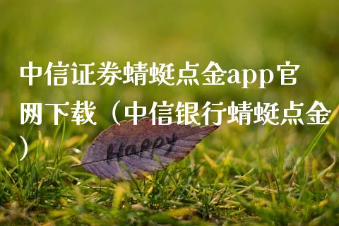 中信证券蜻蜓点金app官网下载（中信银行蜻蜓点金）_https://www.zcsm.com.cn_原油期货_第1张