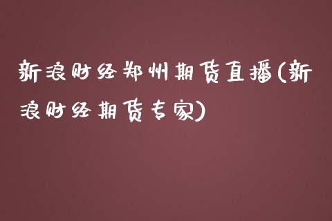 新浪财经郑州期货直播(新浪财经期货专家)_https://www.zcsm.com.cn_期货培训_第1张