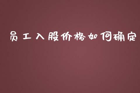员工入股价格如何确定_https://www.zcsm.com.cn_期货百科_第1张