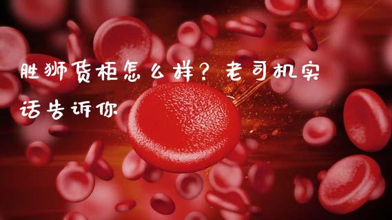 胜狮货柜怎么样？老司机实话告诉你_https://www.zcsm.com.cn_原油期货_第1张