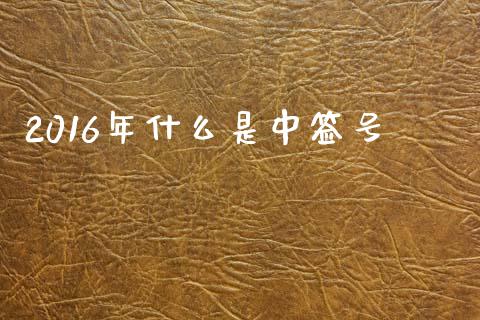 2016年什么是中签号_https://www.zcsm.com.cn_期货喊单_第1张