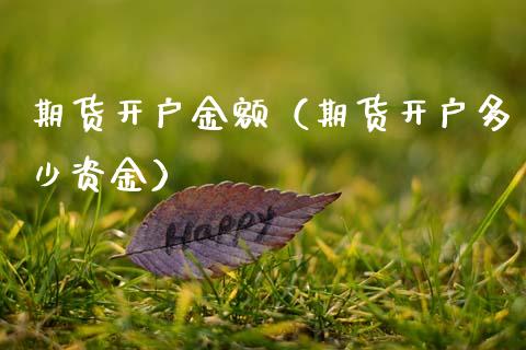 期货开户金额（期货开户多少资金）_https://www.zcsm.com.cn_期货培训_第1张