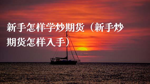 新手怎样学炒期货（新手炒期货怎样入手）_https://www.zcsm.com.cn_期货百科_第1张