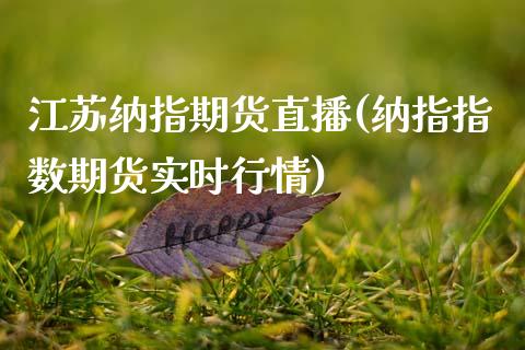 江苏纳指期货直播(纳指指数期货实时行情)_https://www.zcsm.com.cn_期货培训_第1张