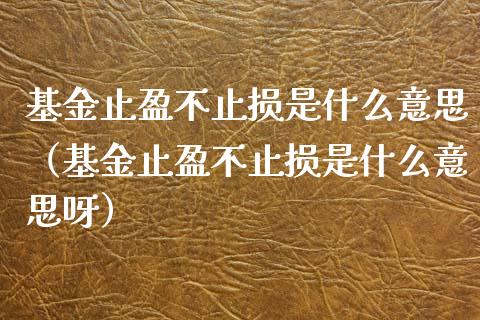 基金止盈不止损是什么意思（基金止盈不止损是什么意思呀）_https://www.zcsm.com.cn_期货交易_第1张