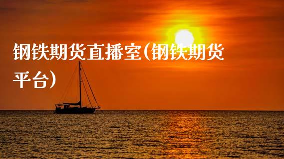 钢铁期货直播室(钢铁期货平台)_https://www.zcsm.com.cn_期货行情_第1张