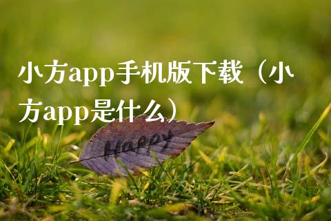 小方app手机版下载（小方app是什么）_https://www.zcsm.com.cn_原油期货_第1张