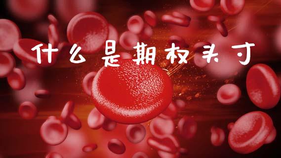 什么是期权头寸_期货行情_第1张_期货百科_期货喊单_期货行情_期货交易_原油期货_期货培训 什么是期权头寸_https://www.zcsm.com.cn_期货行情_第1张
