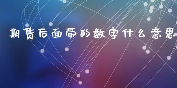 期货后面带的数字什么意思_https://www.zcsm.com.cn_期货培训_第1张