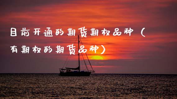 目前开通的期货期权品种（有期权的期货品种）_https://www.zcsm.com.cn_期货喊单_第1张