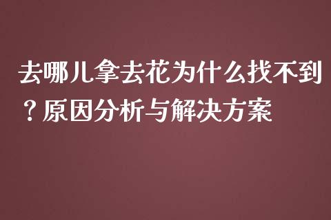去哪儿拿去花为什么找不到？原因分析与解决方案_https://www.zcsm.com.cn_期货喊单_第1张
