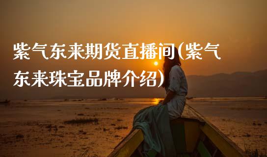 紫气东来期货直播间(紫气东来珠宝品牌介绍)_https://www.zcsm.com.cn_期货行情_第1张