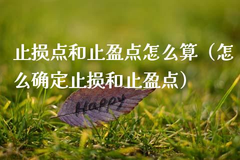 止损点和止盈点怎么算（怎么确定止损和止盈点）_https://www.zcsm.com.cn_期货交易_第1张