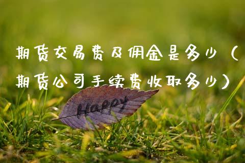 期货交易费及佣金是多少（期货公司手续费收取多少）_https://www.zcsm.com.cn_期货交易_第1张