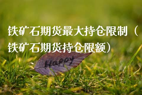 铁矿石期货最大持仓限制（铁矿石期货持仓限额）_https://www.zcsm.com.cn_期货交易_第1张