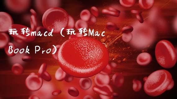 玩转macd（玩转MacBook Pro）_https://www.zcsm.com.cn_期货培训_第1张
