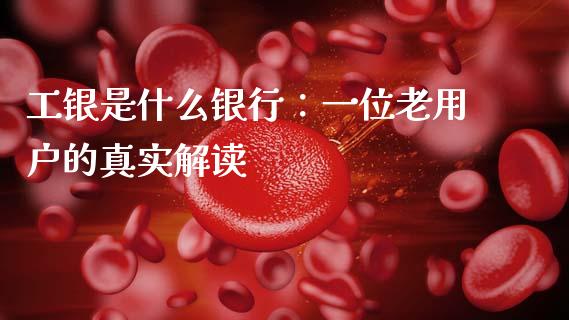 工银是什么银行：一位老用户的真实解读_https://www.zcsm.com.cn_期货百科_第1张
