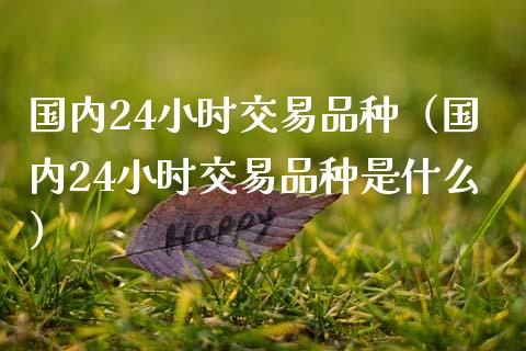国内24小时交易品种（国内24小时交易品种是什么）_https://www.zcsm.com.cn_期货喊单_第1张