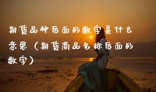 期货品种后面的数字是什么意思（期货商品名称后面的数字）_https://www.zcsm.com.cn_期货喊单_第1张