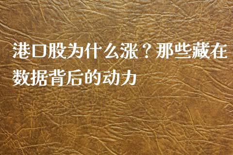 港口股为什么涨？那些藏在数据背后的动力_https://www.zcsm.com.cn_期货喊单_第1张