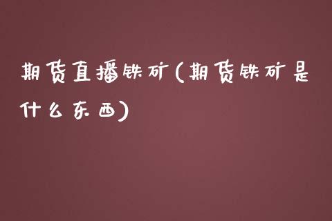 期货直播铁矿(期货铁矿是什么东西)_https://www.zcsm.com.cn_期货百科_第1张